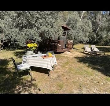 Hotel Roulotte / Tiny House Dans Les Alpilles Saint-Rémy-de-Provence Esterno foto